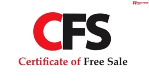 CFS là gì?