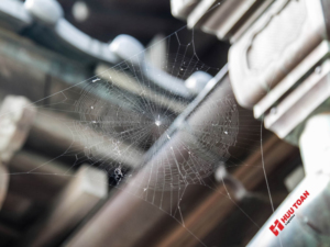 Lý do cần quét mạng nhẹn nhà xưởng định kỳ