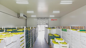 Giá cho thuê kho lạnh tại Hà Nội