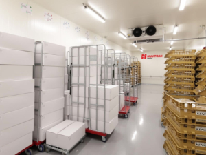 Yếu tố ảnh hưởng đến giá thuê kho lạnh tại Hà Nội