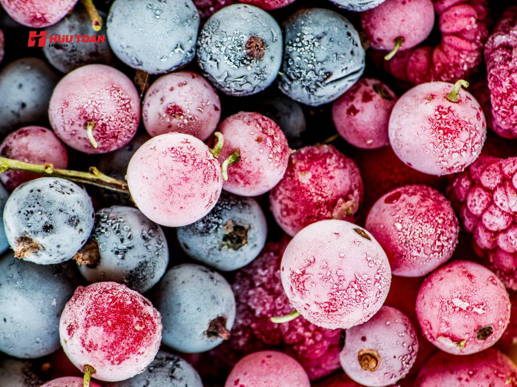 Kho lạnh bảo quản thực phẩm và bài toán giữ chất lượng đồng đều khi lưu kho dài ngày Kho lạnh bảo quản thực phẩm và bài toán giữ chất lượng đồng đều khi lưu kho dài ngày