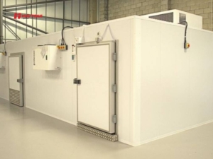 Bài toán chi phí dài hạn phía sau quyết định thuê kho đông lạnh mini