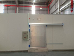 Những loại hàng hóa không phù hợp và không nên lựa chọn mô hình cho thuê kho lạnh mini trong thực tế sử dụng