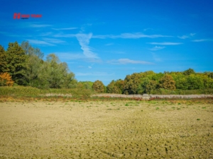 Khả năng mở rộng quy mô lưu trữ theo nhu cầu vận chuyển