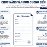 Chức năng vận đơn đường biển giúp hạn chế rủi ro trong vận tải quốc tế