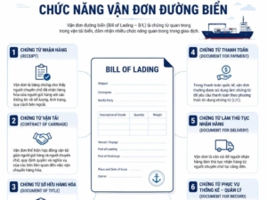 Chức năng vận đơn đường biển giúp hạn chế rủi ro trong vận tải quốc tế